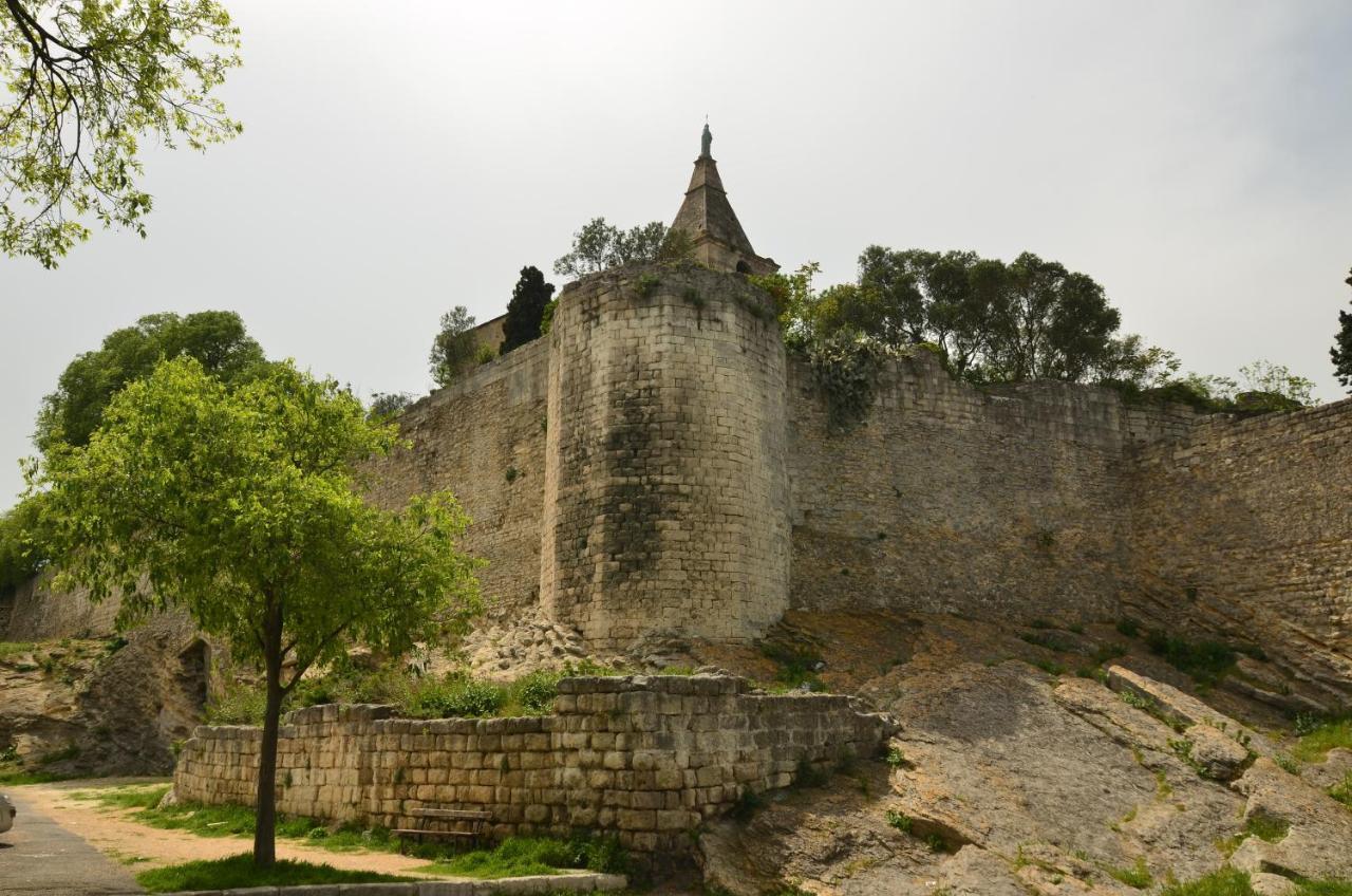 Ferienwohnung Aux Pieds Des Arenes Arles Exterior foto